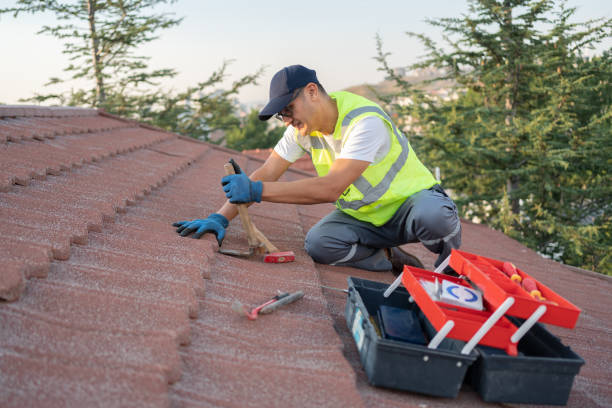 Best Residential Roof Replacement  in Mcelhattan, PA