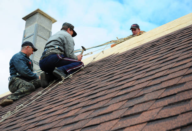 Best Roof Repair Services  in Mcelhattan, PA